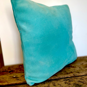 Limited Edition Turquoise Suede Cushion